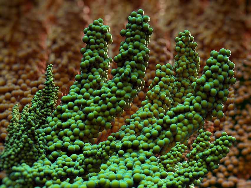 Bruk av Airflow tannrens for å fjerne biofilm, plakk og tannstein | Oslo Tannlegesenter